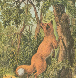 Currier & Ives: "The Puzzled Fox" Vintage 1950s Art Print (15x11.5")