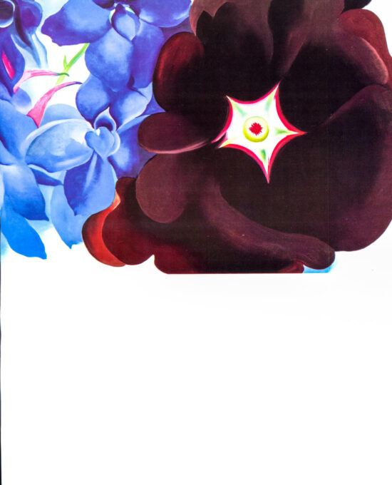 Georgia O’Keeffe print 1930 “Black Hollyhock, Black Larkspur” Original vintage color book page