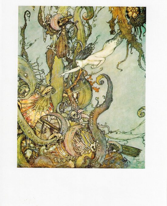 The Little Mermaid Hans Andersen stories Edmund Dulac  [1911] “which sparkled in her hand like a shining star…” Vintage art book page