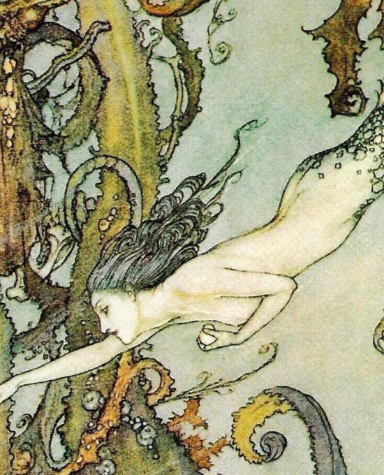 The Little Mermaid Hans Andersen stories Edmund Dulac  [1911] “which sparkled in her hand like a shining star…” Vintage art book page