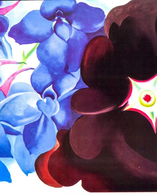 Georgia O’Keeffe print 1930 “Black Hollyhock, Black Larkspur” Original vintage color book page