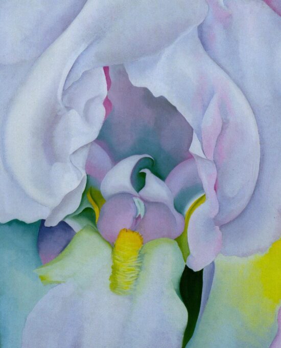 Georgia O’Keeffe print 1930 “Light Iris” Original over-size vintage art book page
