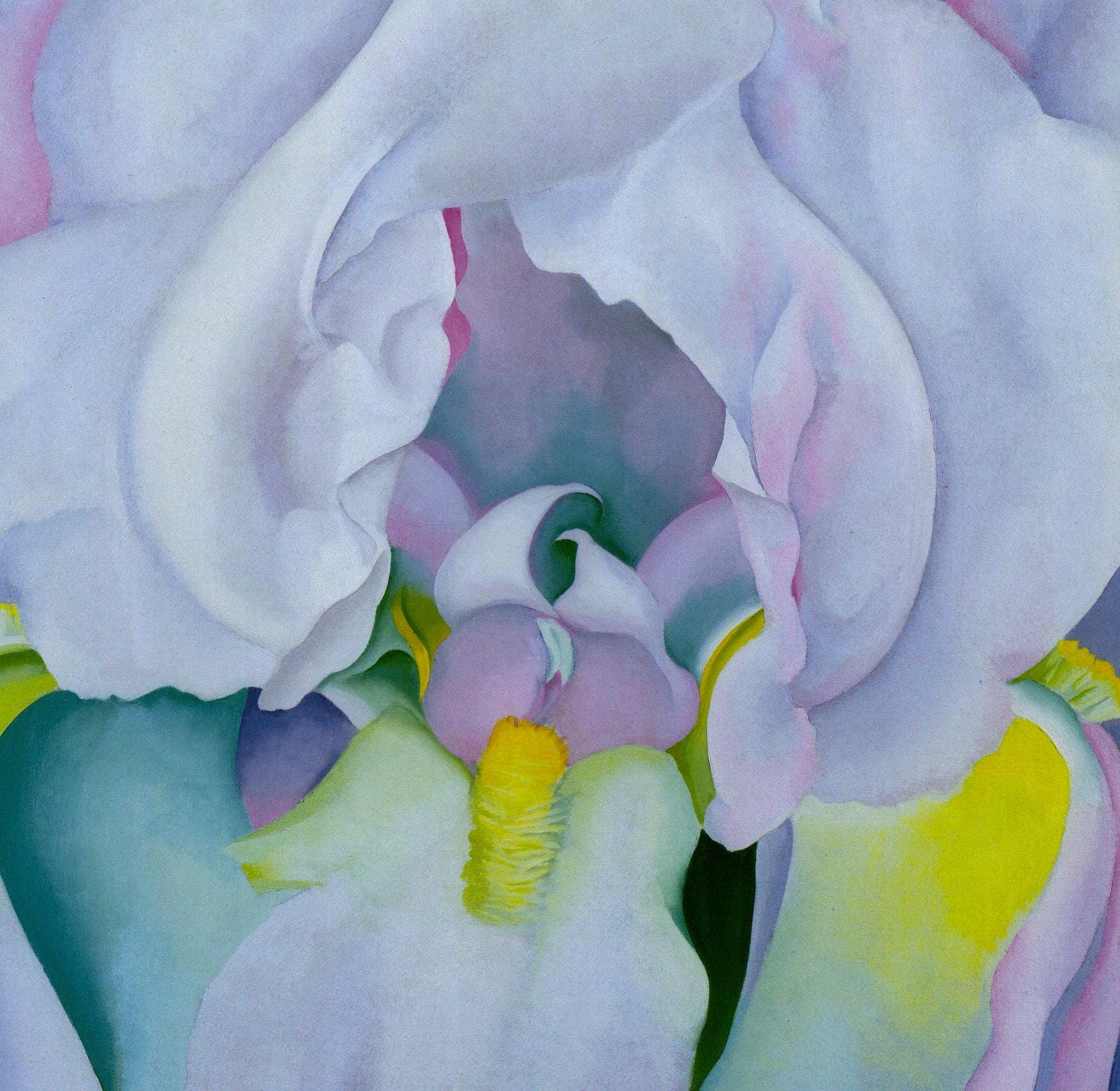 Georgia O'Keeffe print 1930 "Light Iris" Original over-size vintage art book page