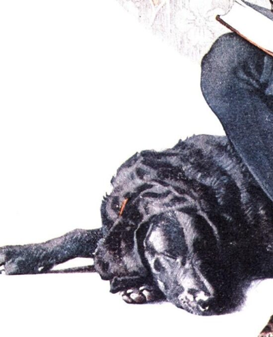 Norman Rockwell “The Age of Romance” & “The Cruise” Oversized 2-sided vintage art book page