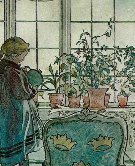 Flowers on the Windowsill 1900 Carl Larsson Vintage art book page Victorian illustration