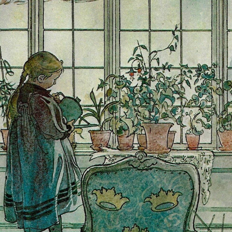 Flowers on the Windowsill 1900 Carl Larsson Vintage art book page Victorian illustration