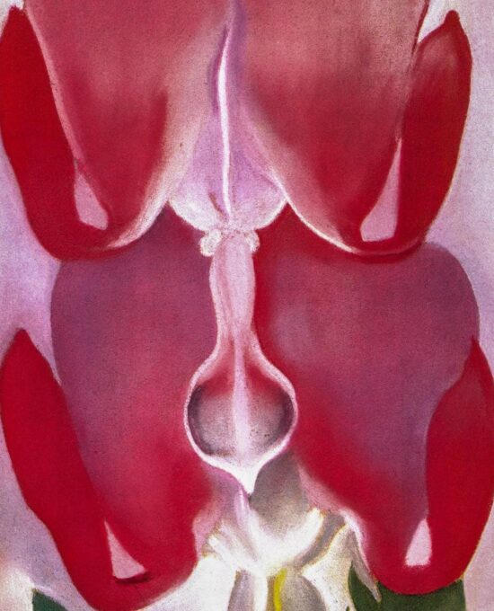Georgia O’Keeffe print 1932 “Bleeding Heart” Original vintage color book page