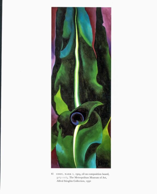 Georgia O’Keeffe vintage art book plate 1924 “From the Lake No. 1 / Corn, Dark I”