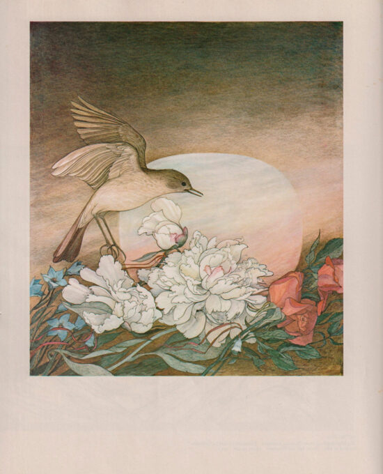Nightingale Vintage Art Book Page: Hans Christian Andersen Illustration