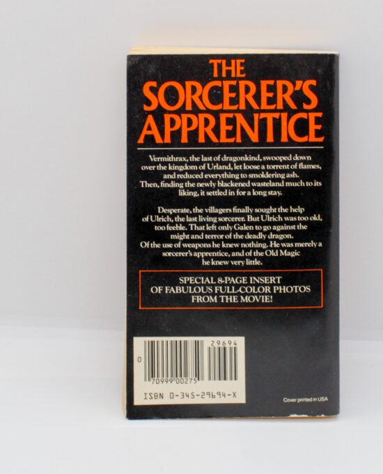 DragonSlayer Vintage 1981 fantasy paperback first edition