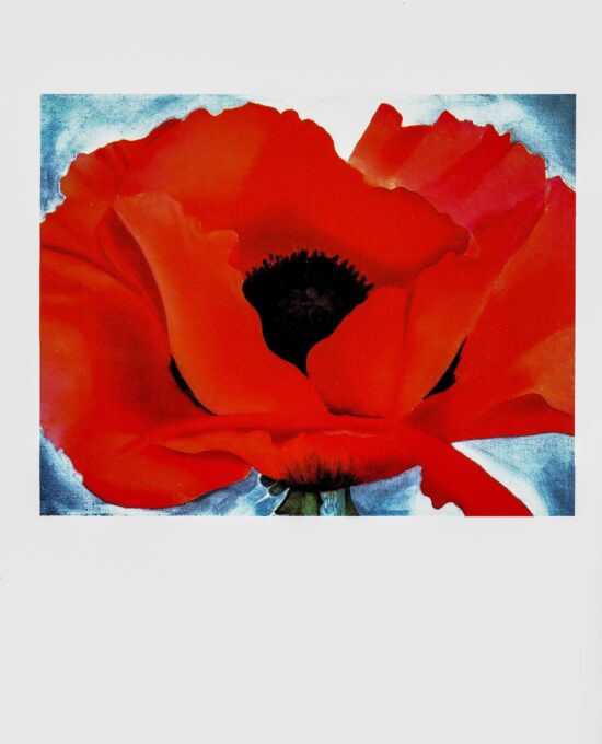 Georgia O’Keeffe print 1929 “Red Poppy” Original vintage color book page