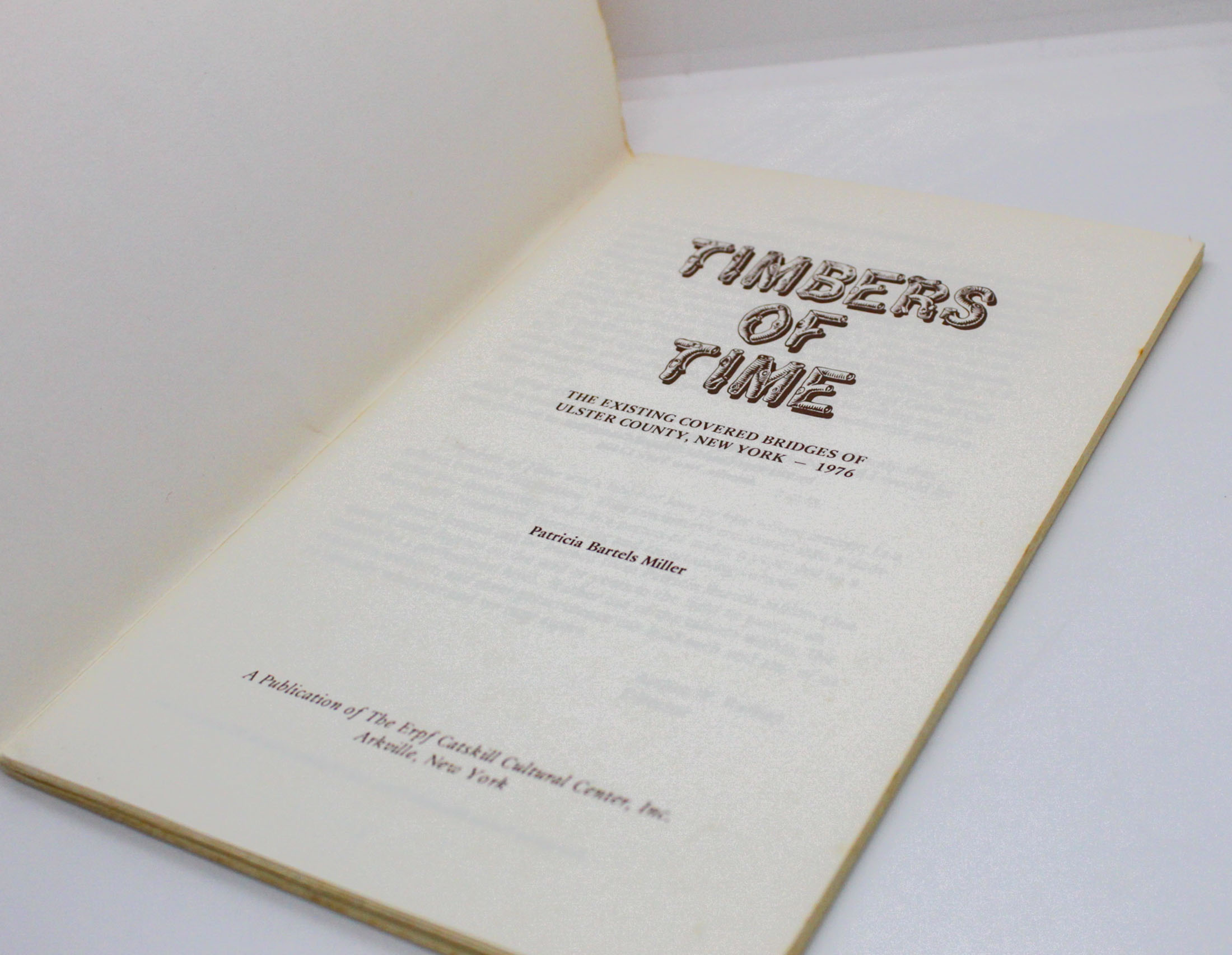 Patricia Bartels Miller "Timbers of Time" First Edition Vintage Paperback 1977 - Image 4