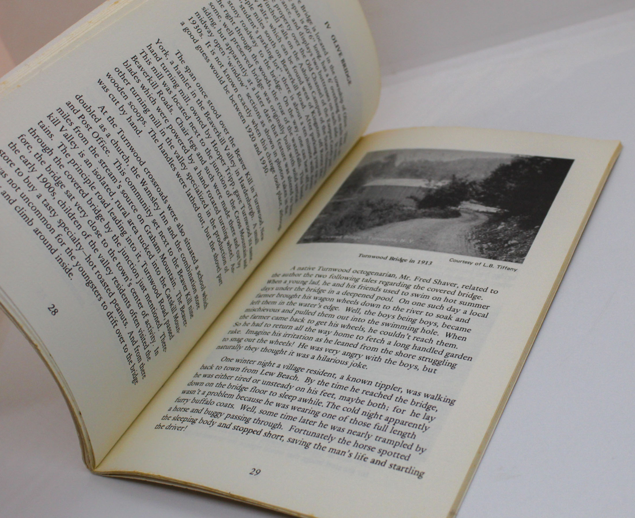 Patricia Bartels Miller "Timbers of Time" First Edition Vintage Paperback 1977 - Image 9