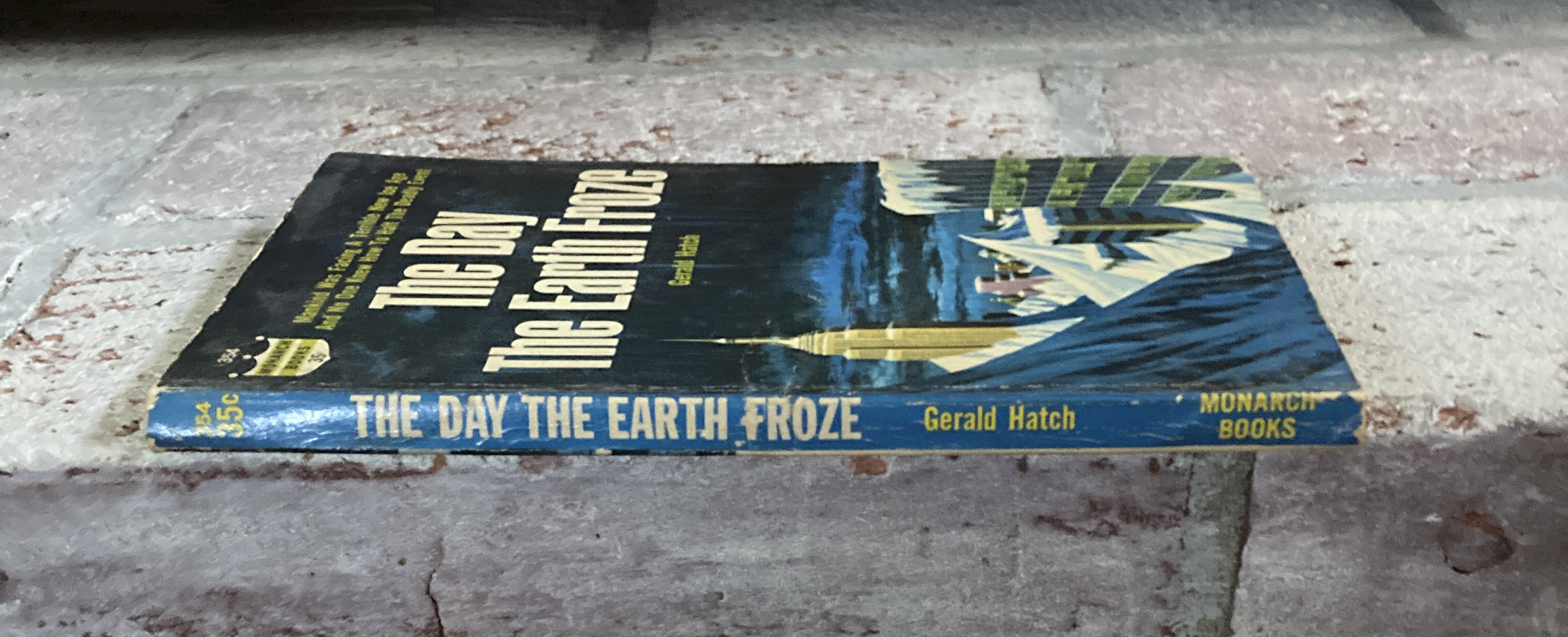 The Day The Earth Froze - Hudson Fine Books