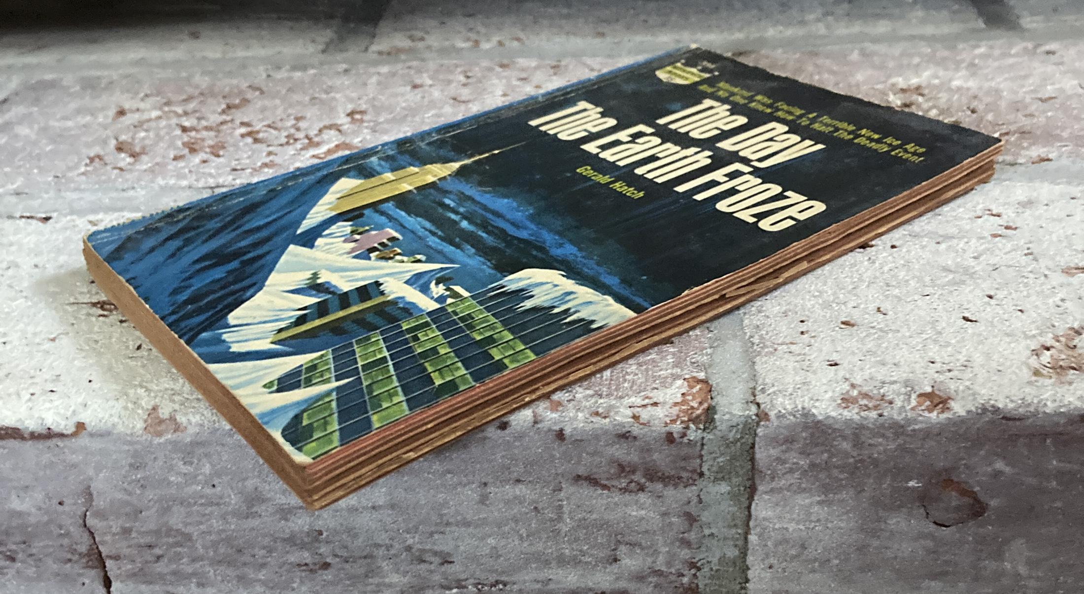 The Day The Earth Froze - Hudson Fine Books