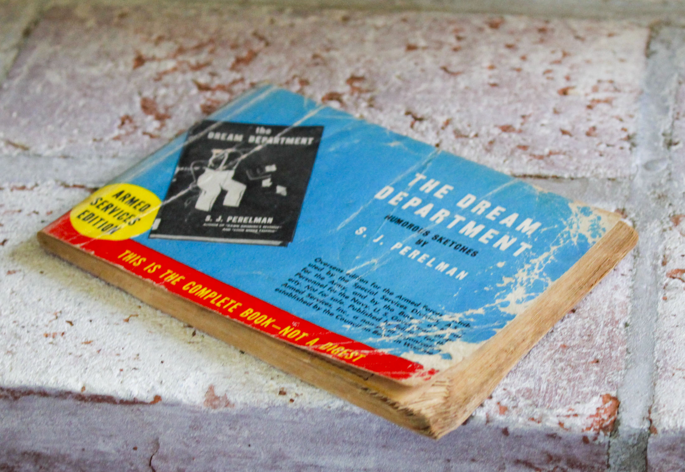 The Dream Department - Hudson Fine Books