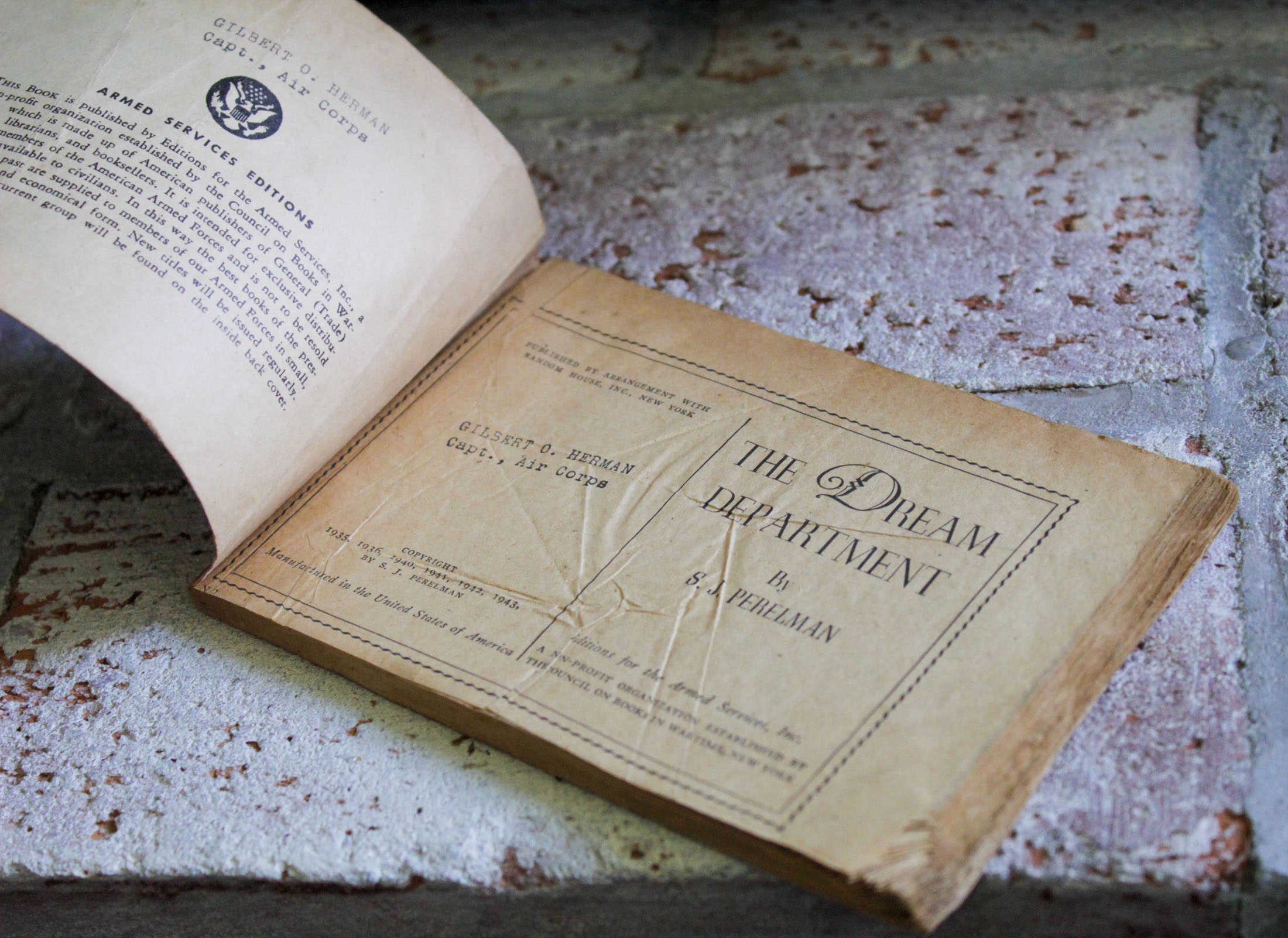 The Dream Department - Hudson Fine Books
