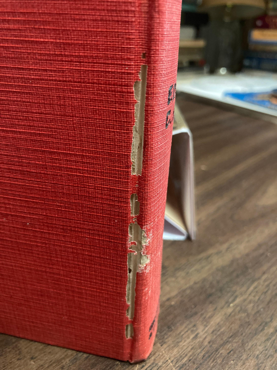 Antique book "The Iron Horse" Made into a John Ford film 1924 Edition - Image 10