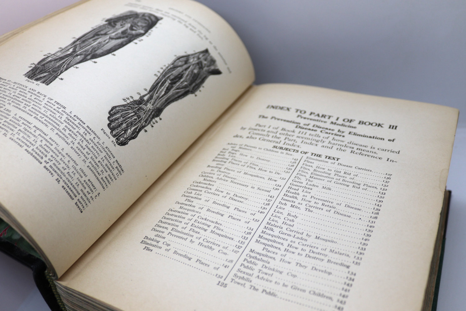 Library of Health: Prevention & Cure 1916 1st ed - Image 9