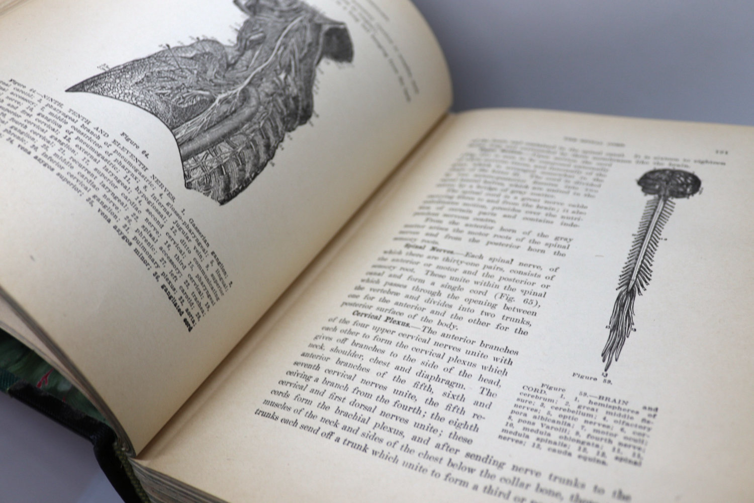 Library of Health: Prevention & Cure 1916 1st ed - Image 10