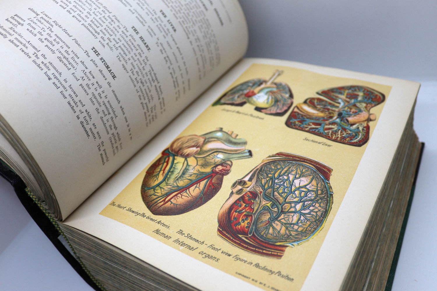 Library of Health: Prevention & Cure 1916 1st ed - Image 12