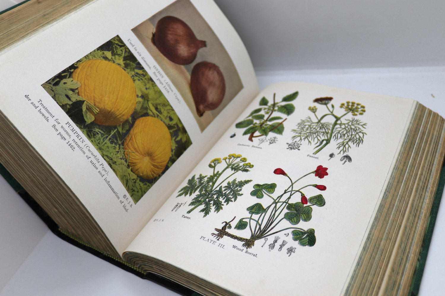 Library of Health: Prevention & Cure 1916 1st ed - Image 13