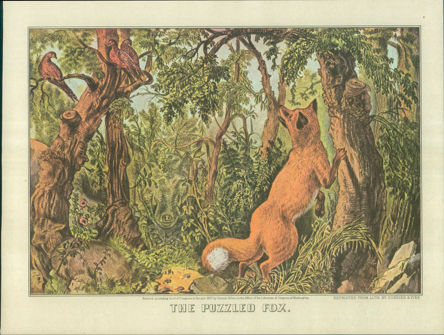 Currier & Ives: "The Puzzled Fox" Vintage 1950s Art Print (15x11.5") - Image 3