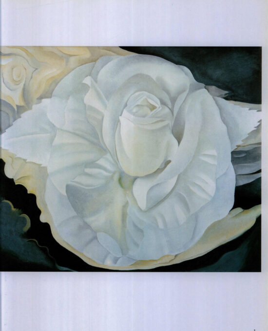Georgia O’Keeffe print 1930 “White Rose, New Mexico” Original over-size vintage art book page