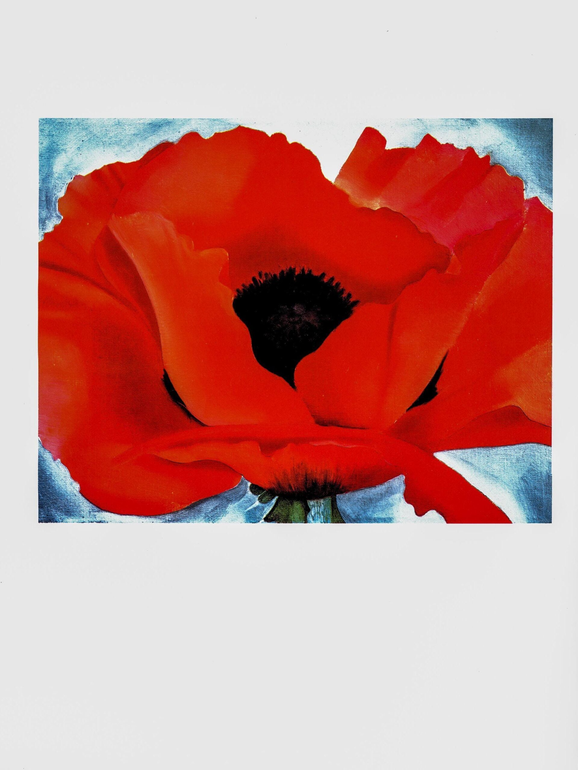 Georgia O'Keeffe print 1929 "Red Poppy" Original vintage color book page - Image 2