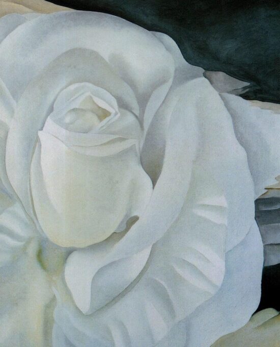 Georgia O’Keeffe print 1930 “White Rose, New Mexico” Original over-size vintage art book page