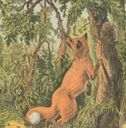 Currier & Ives: "The Puzzled Fox" Vintage 1950s Art Print (15x11.5")