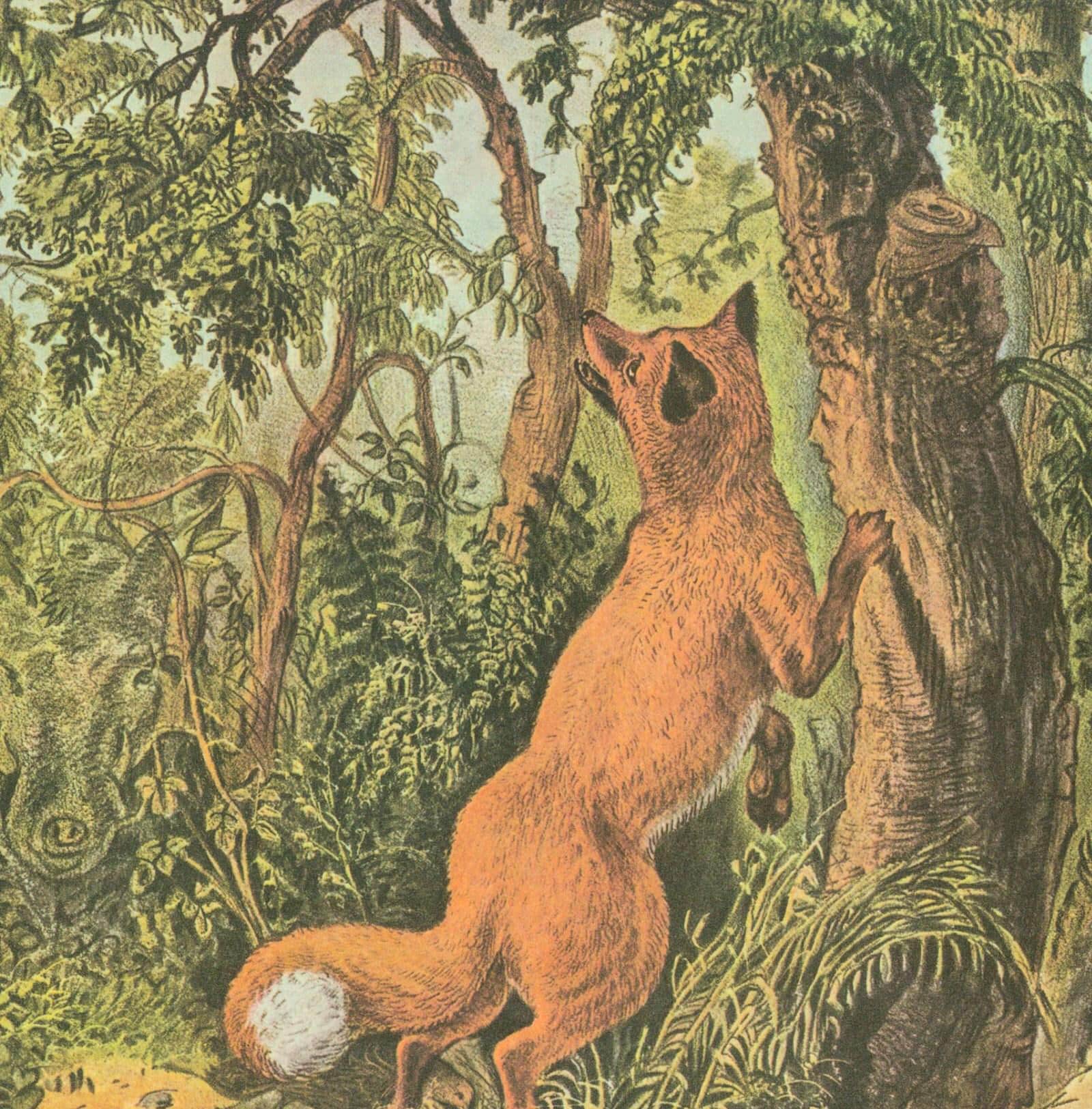 Currier & Ives: "The Puzzled Fox" Vintage 1950s Art Print (15x11.5")