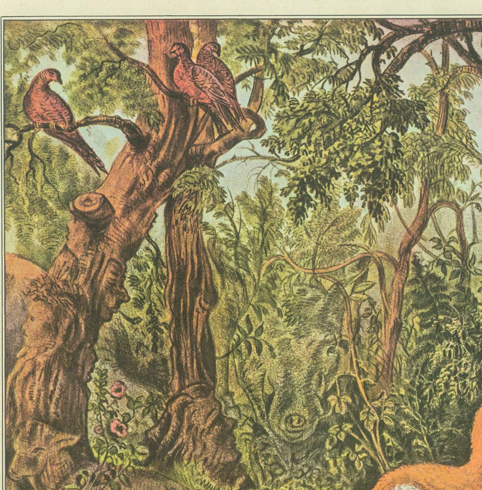 Currier & Ives: "The Puzzled Fox" Vintage 1950s Art Print (15x11.5") - Image 2