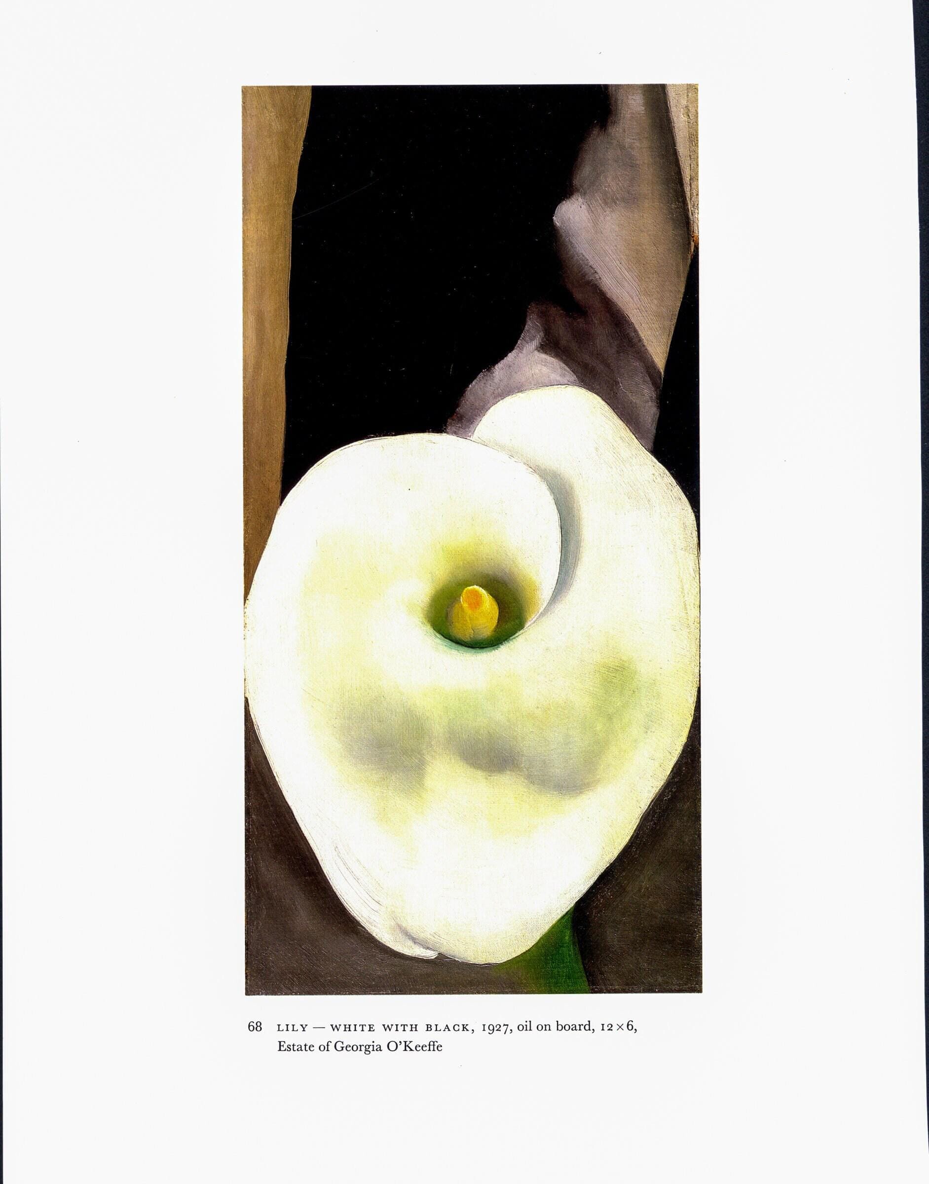 Georgia O'Keeffe Art Book Plate: "Lily" & "Peach" - 1927 Vintage Print - Image 2