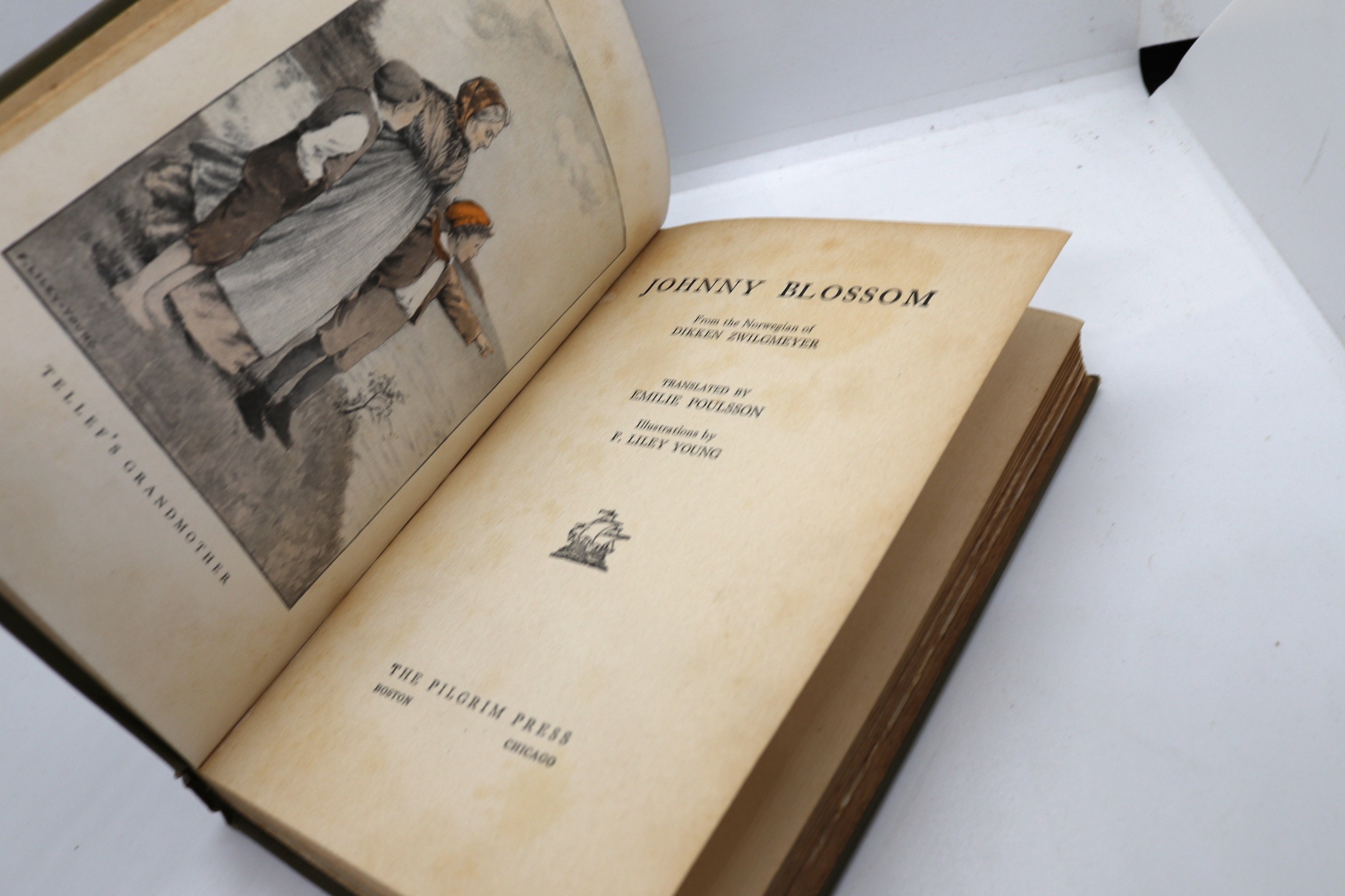 Johnny Blossom - Hudson Fine Books