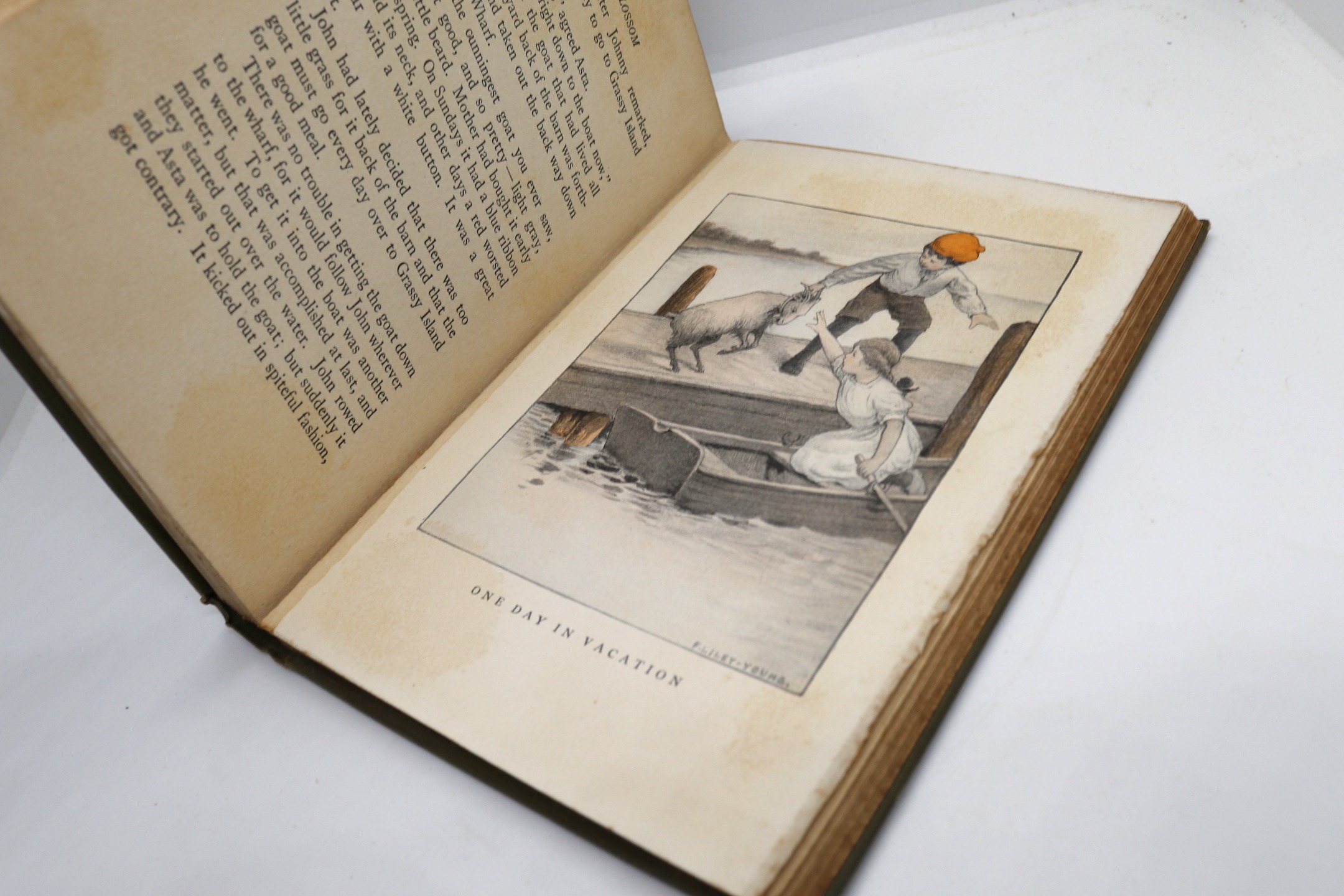 Johnny Blossom - Hudson Fine Books