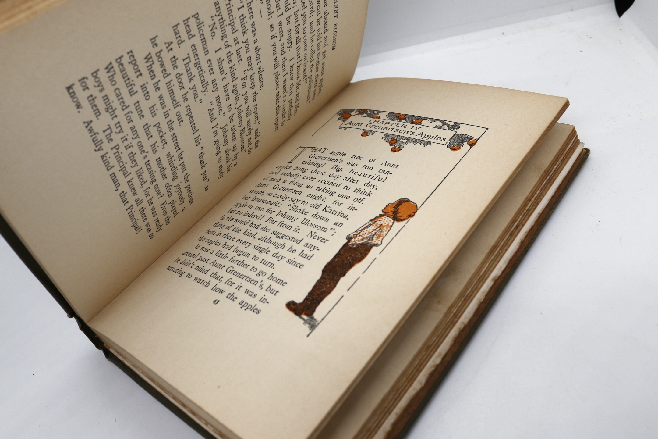 Johnny Blossom - Hudson Fine Books