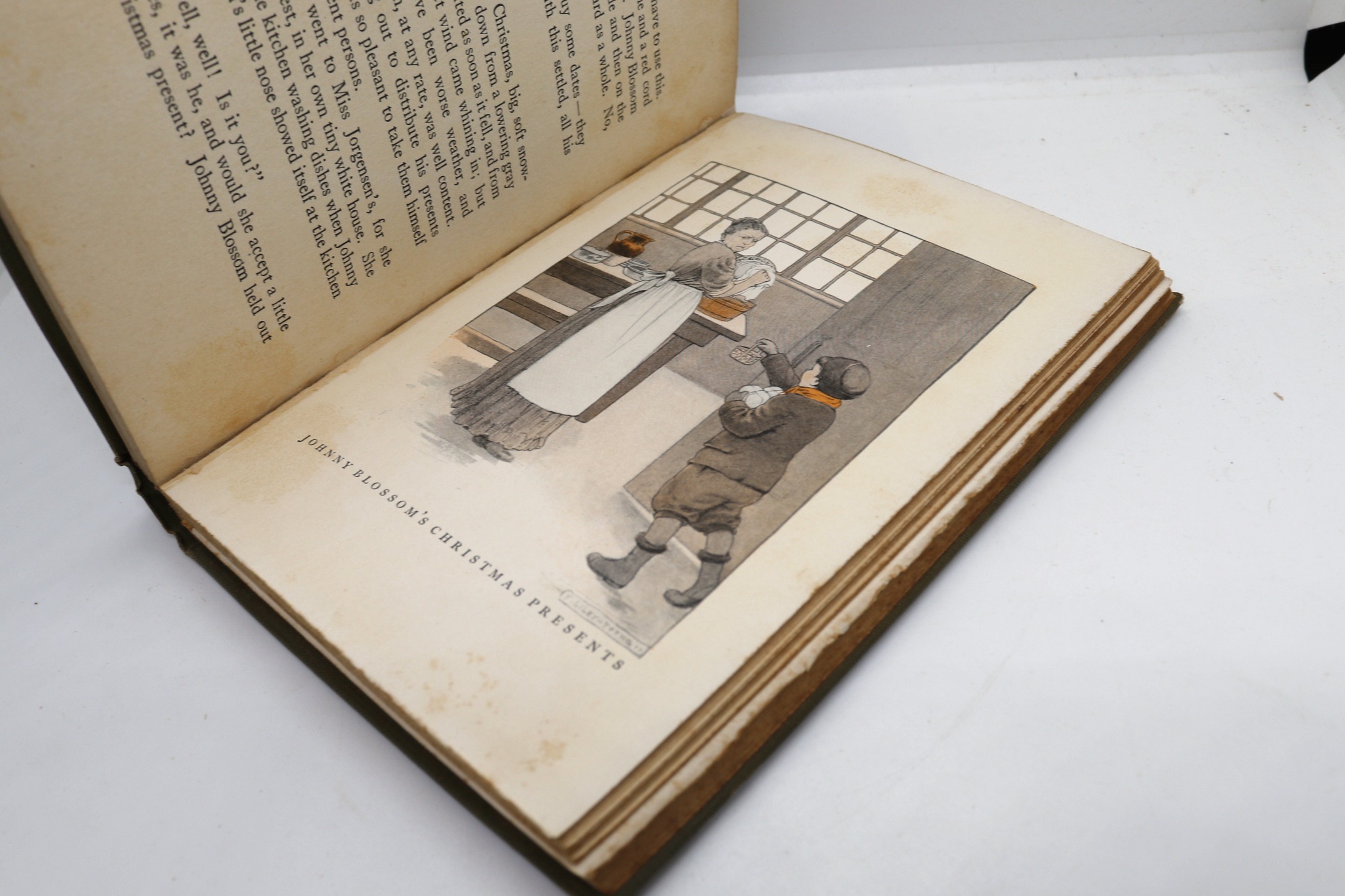 Johnny Blossom - Hudson Fine Books