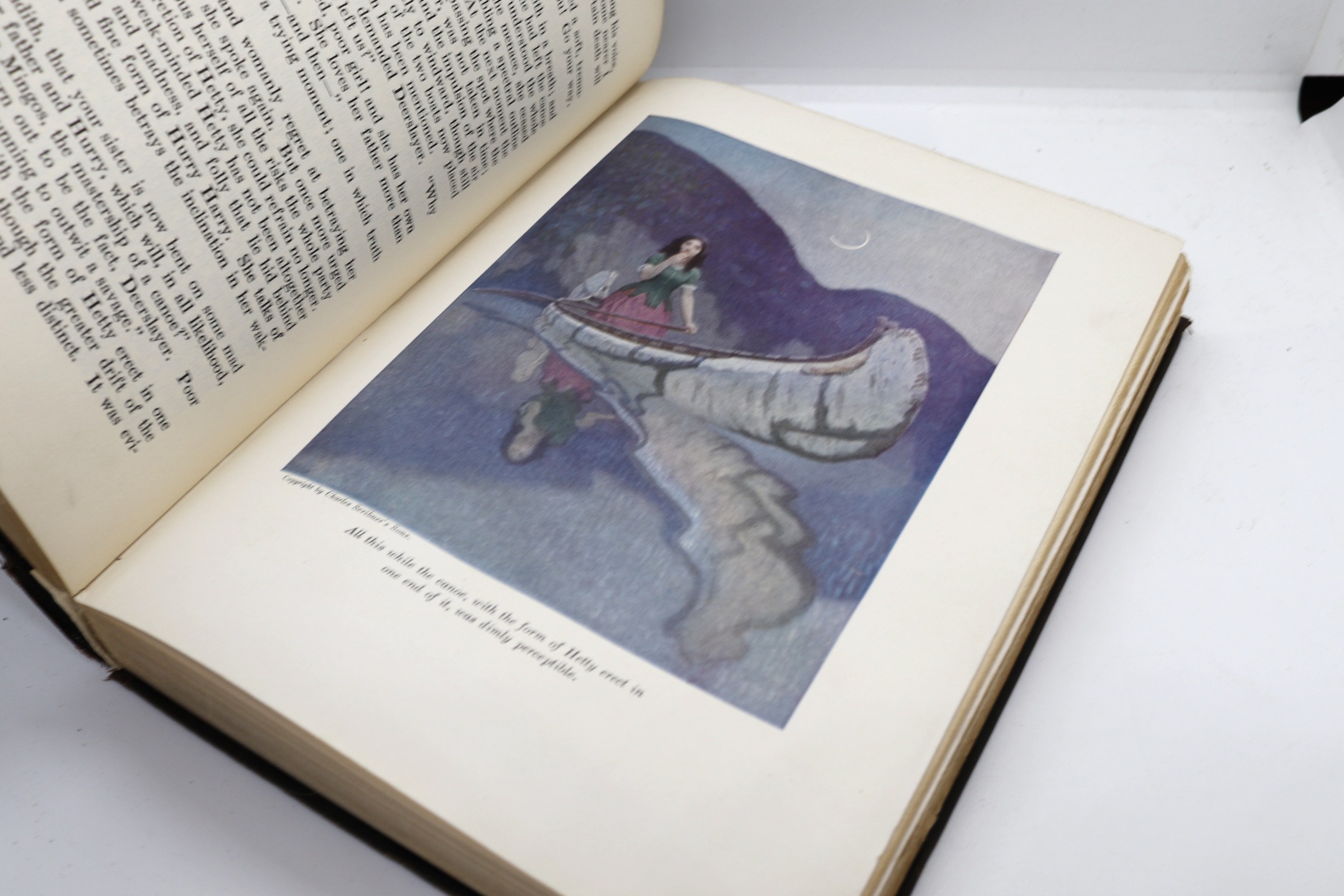 The Deerslayer - Hudson Fine Books