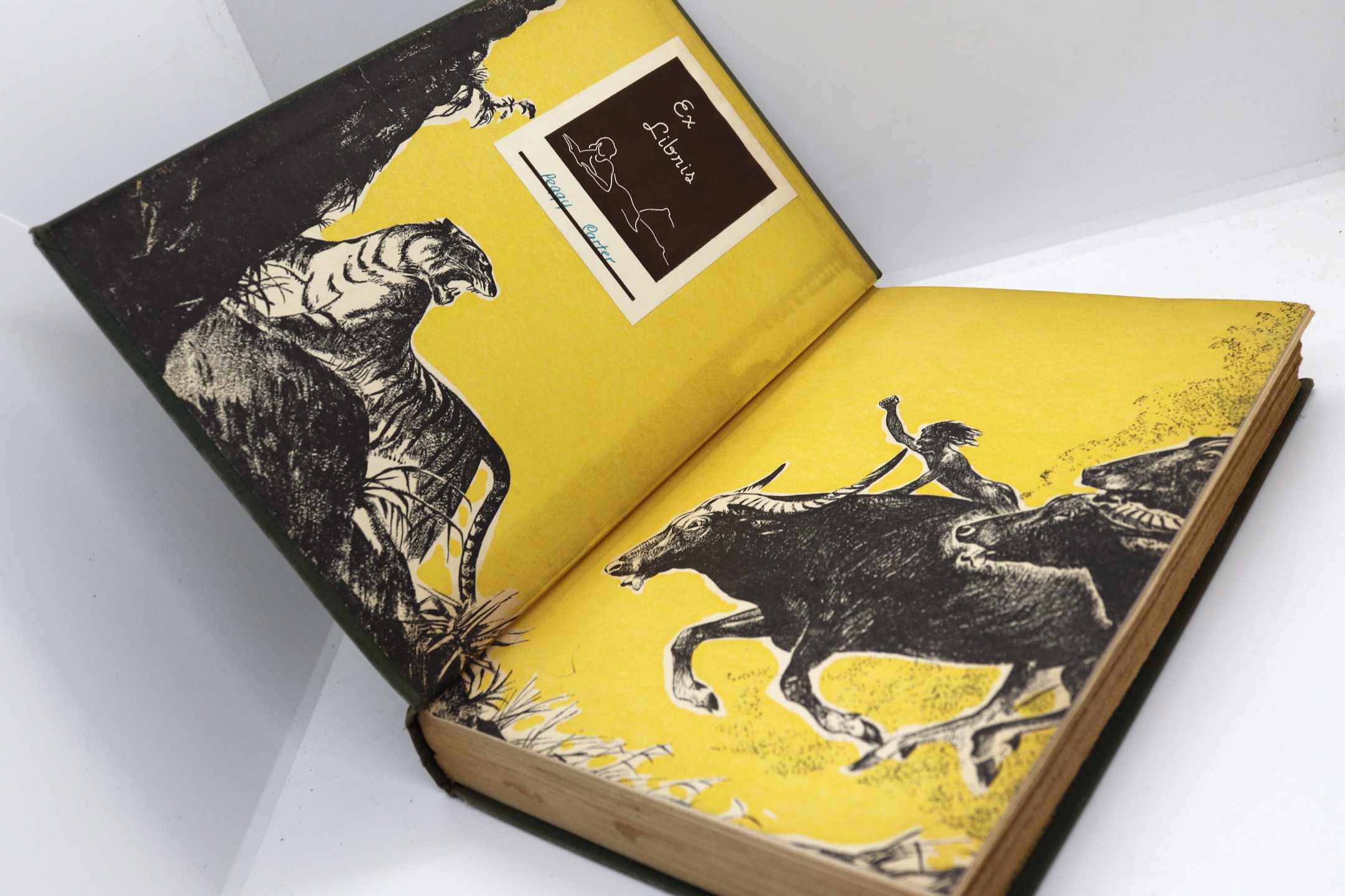 The Jungle Book - Hudson Fine Books