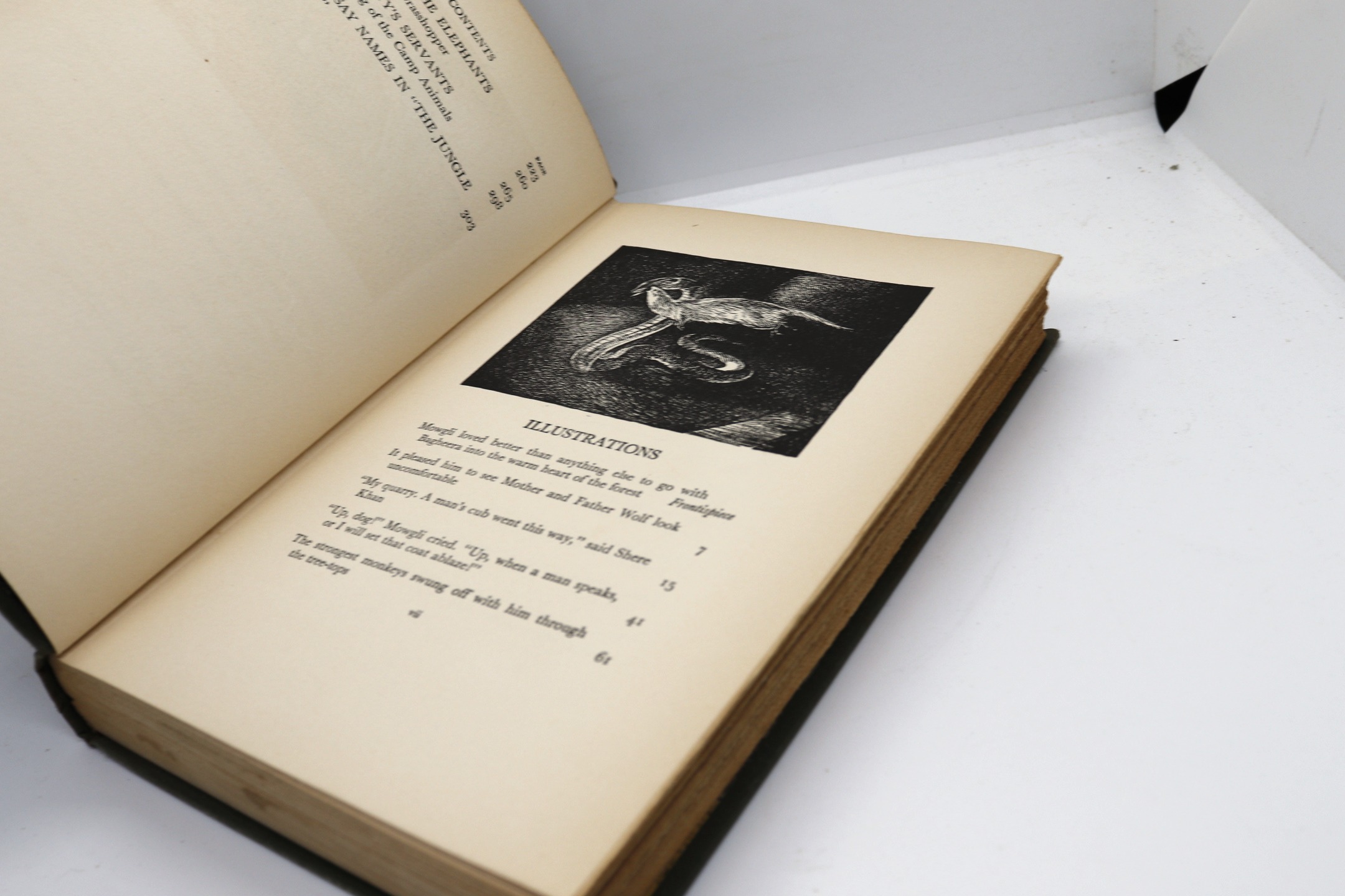 The Jungle Book - Hudson Fine Books