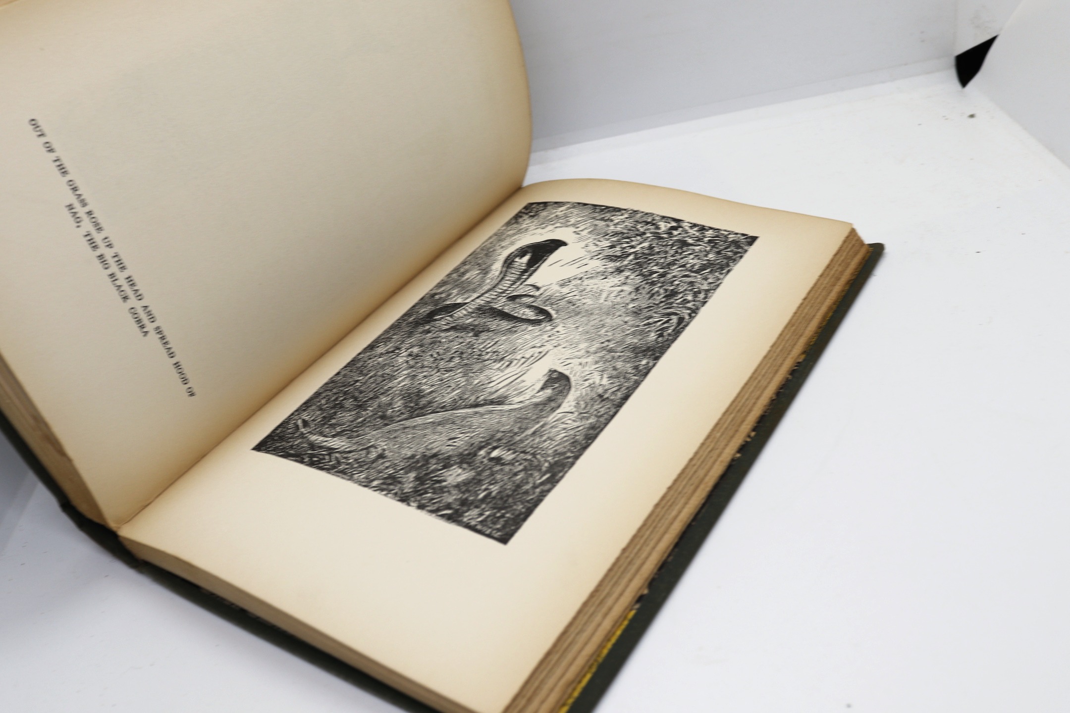 The Jungle Book - Hudson Fine Books