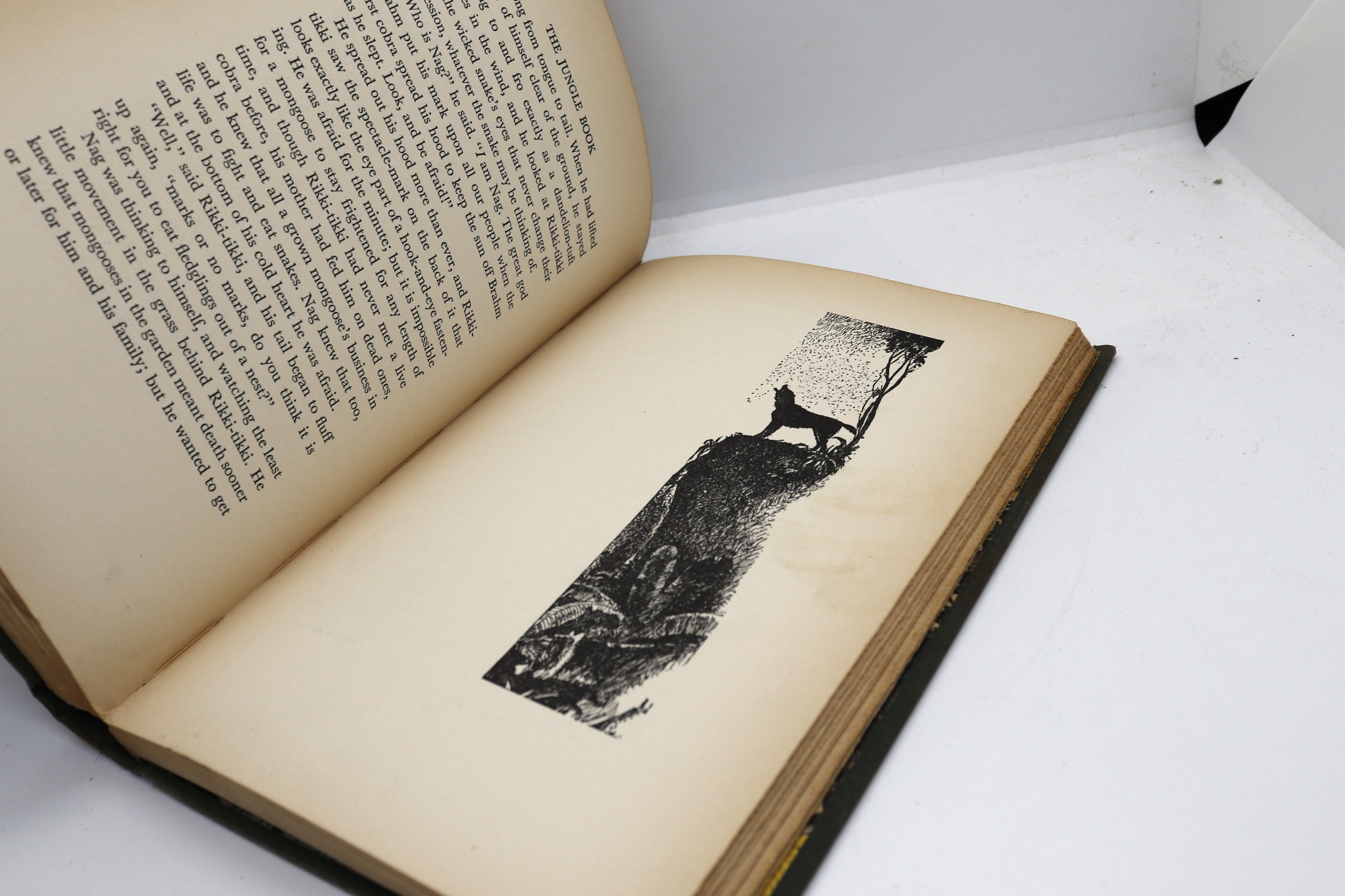 The Jungle Book - Hudson Fine Books