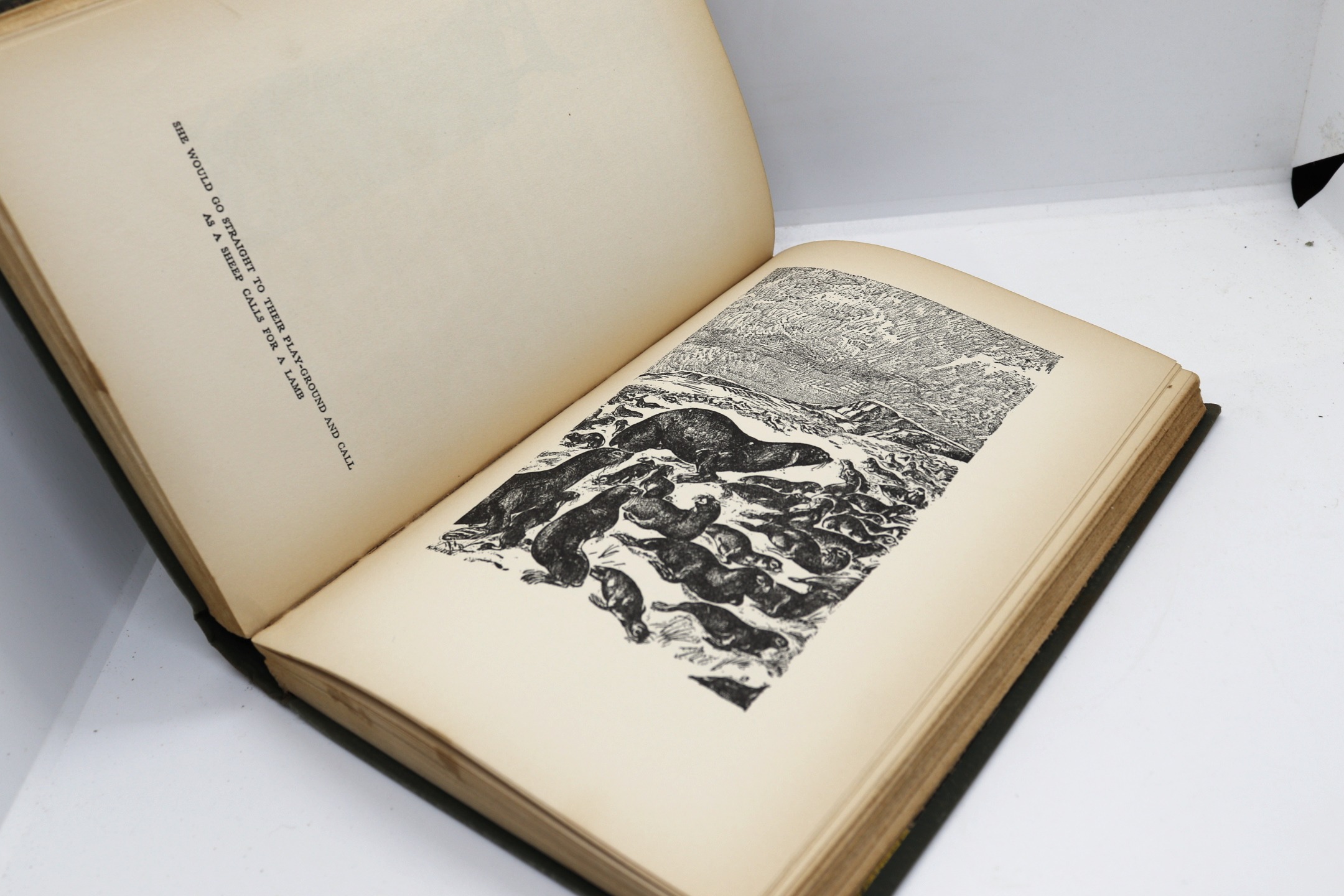 The Jungle Book - Hudson Fine Books