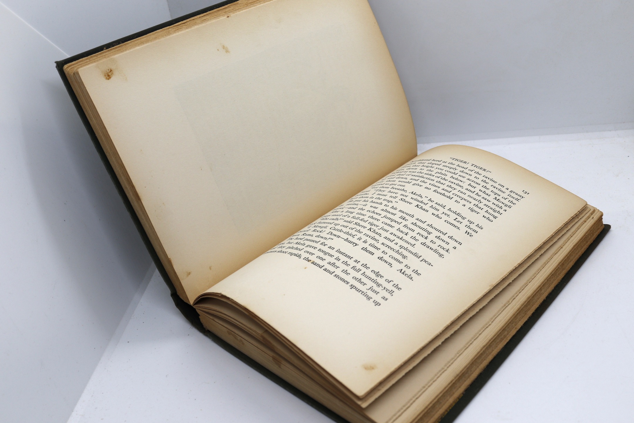 The Jungle Book - Hudson Fine Books