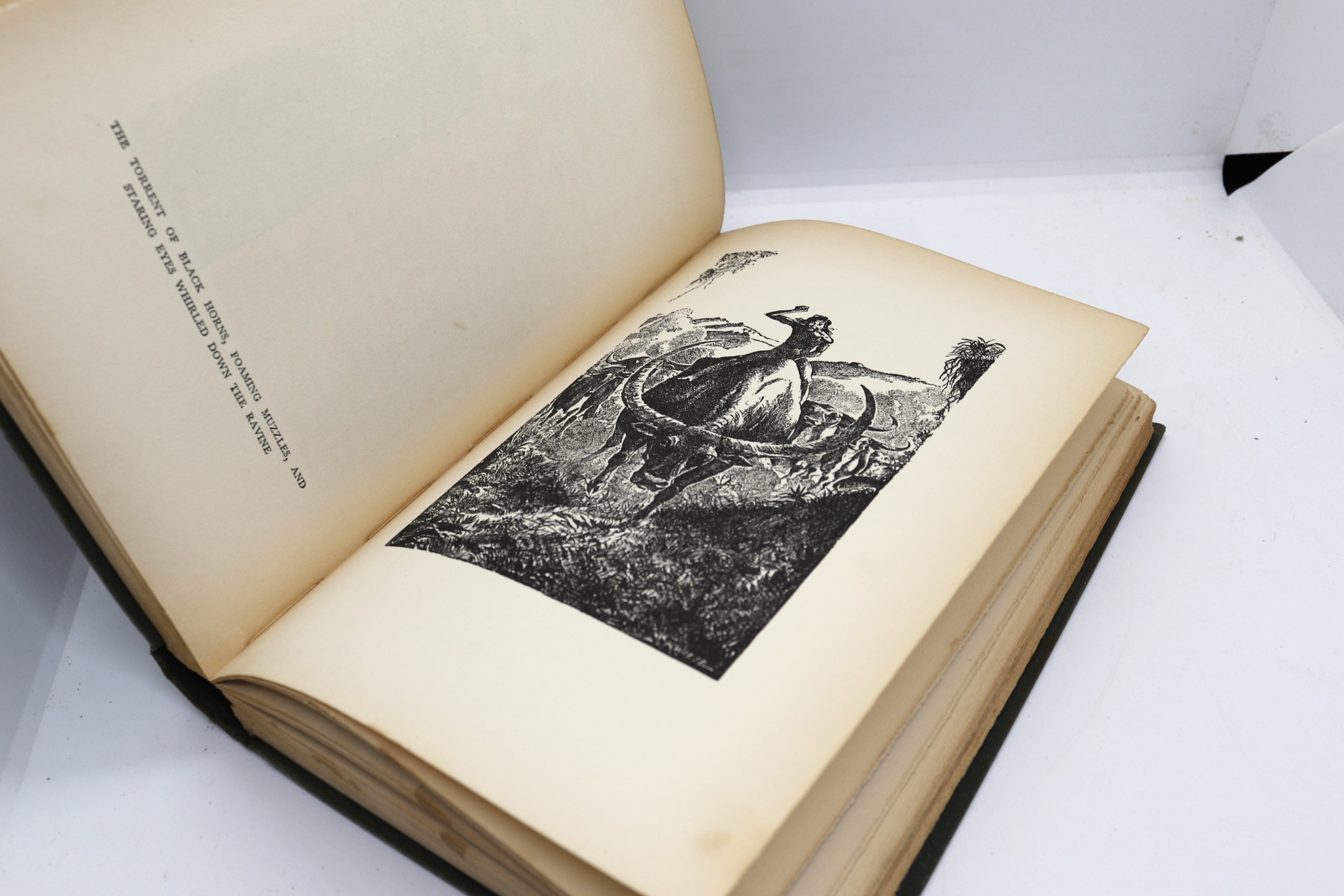 The Jungle Book - Hudson Fine Books