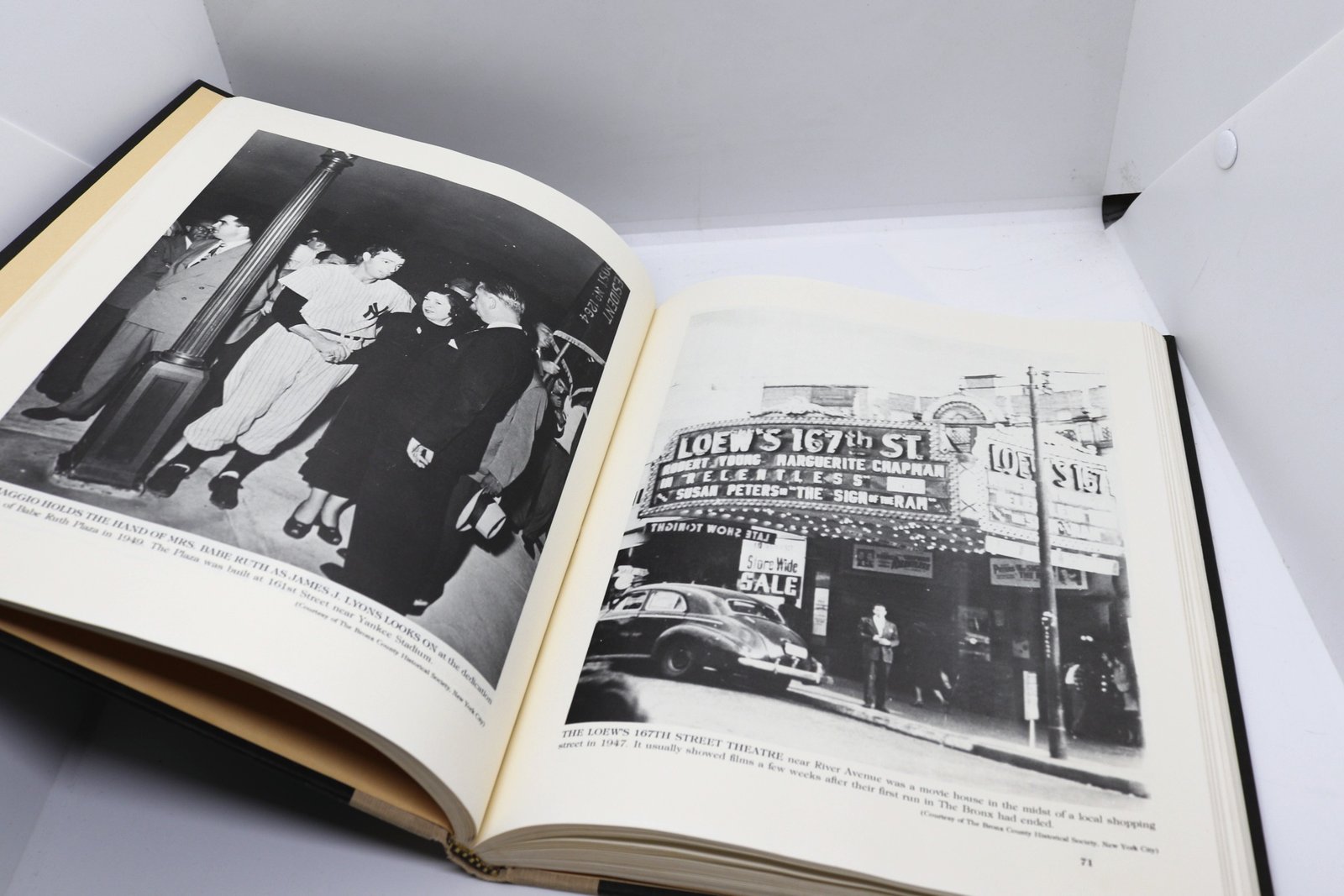 The Beautiful Bronx (1920-1950) - Hudson Fine Books