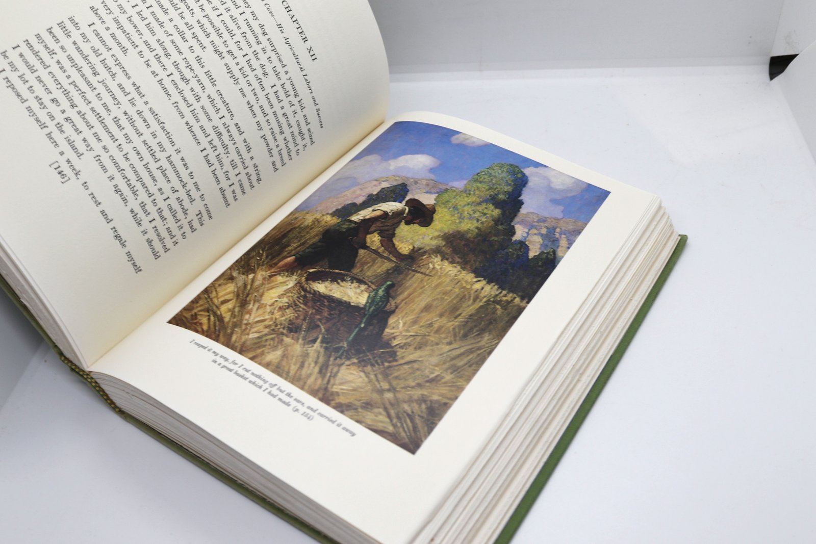 Robinson Crusoe — Defoe/Wyeth, Scribner 1983 - Image 10