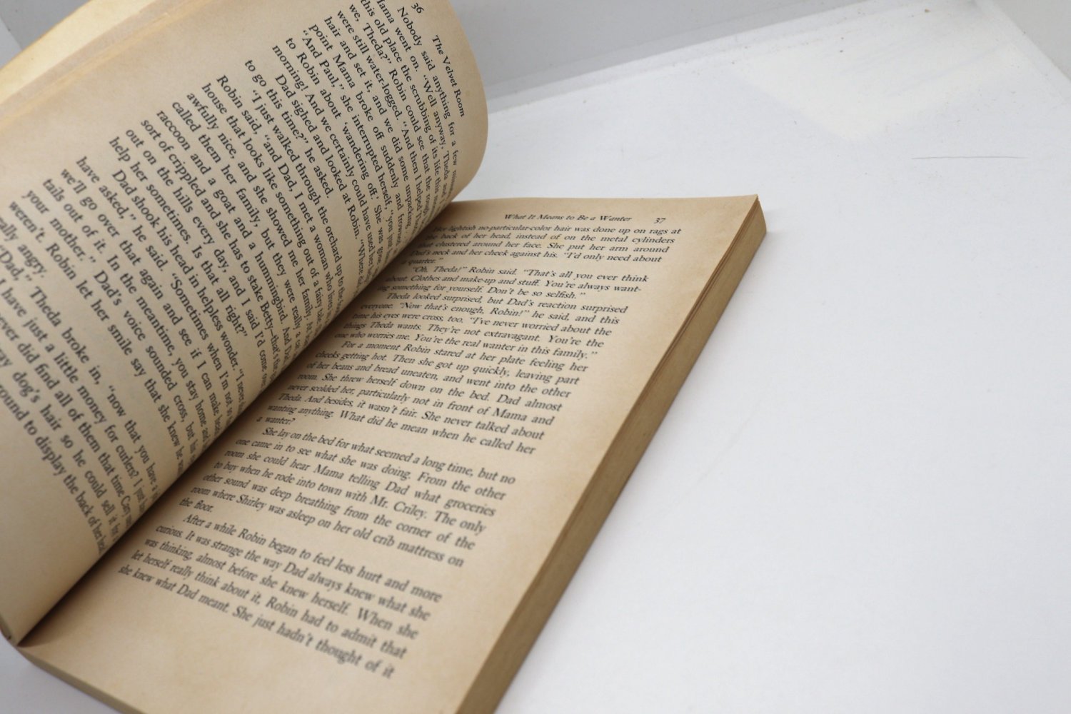 Zilpha Keatley Snyder "The Velvet Room" Vintage First edition paperback c.1975 - Image 9