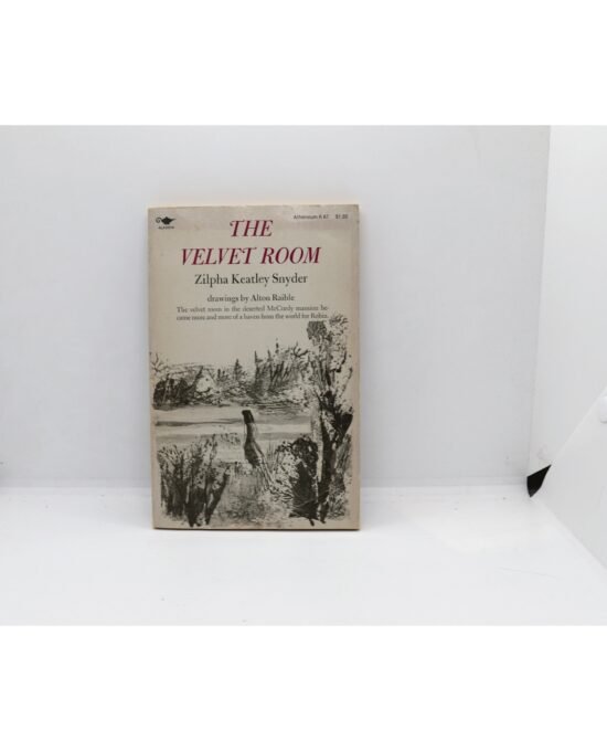 Zilpha Keatley Snyder “The Velvet Room” Vintage First edition paperback c.1975